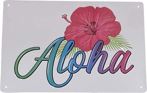 Amazon.com: Aloha Designs Aloha Hawaii Hibiscus Tin Metal 